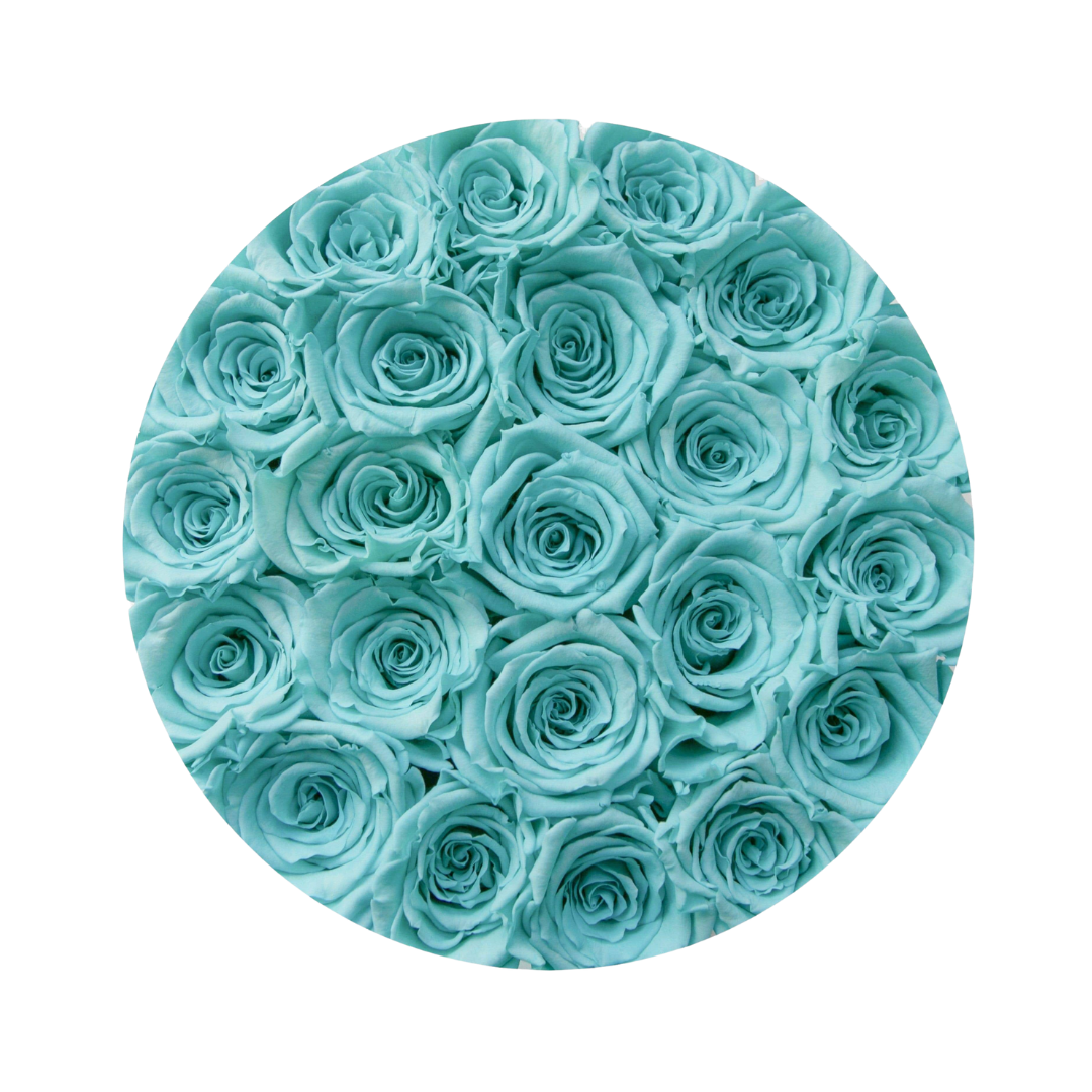 Classic round box 16 premium Tiffany roses