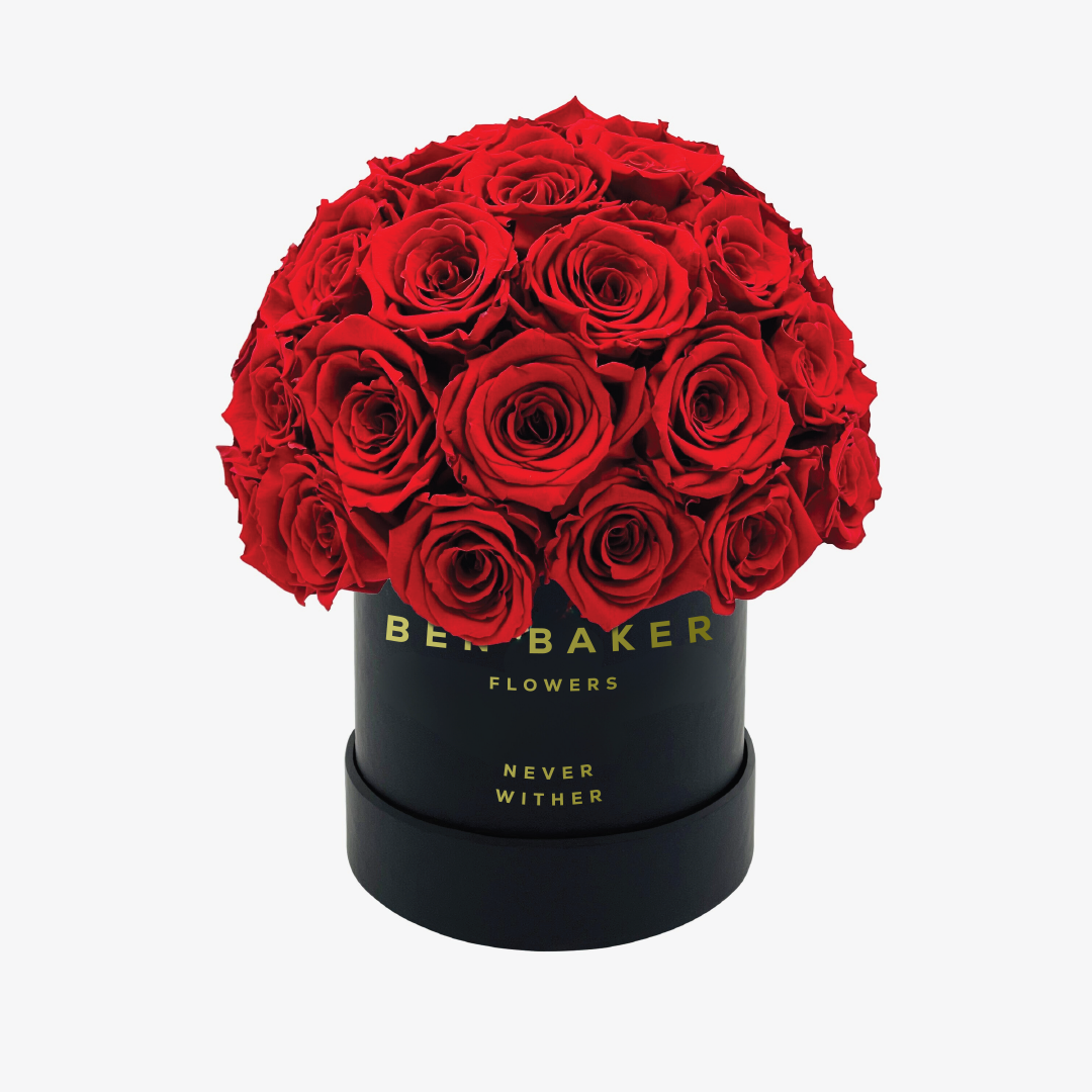 Black Superdome box 26 premium red roses