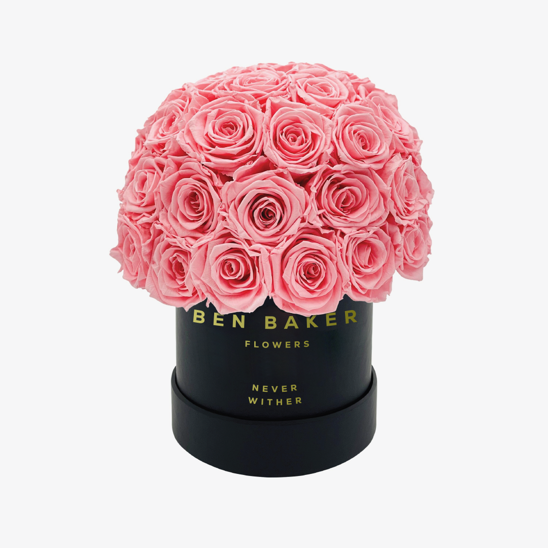 Black Superdome box 26 premium pink roses